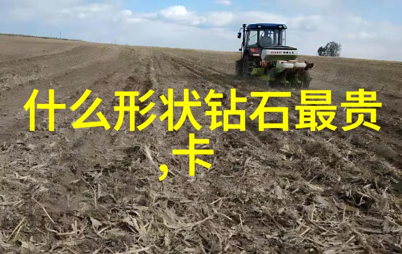 传统文化包括中华饮食文化味蕾上的国粹之选