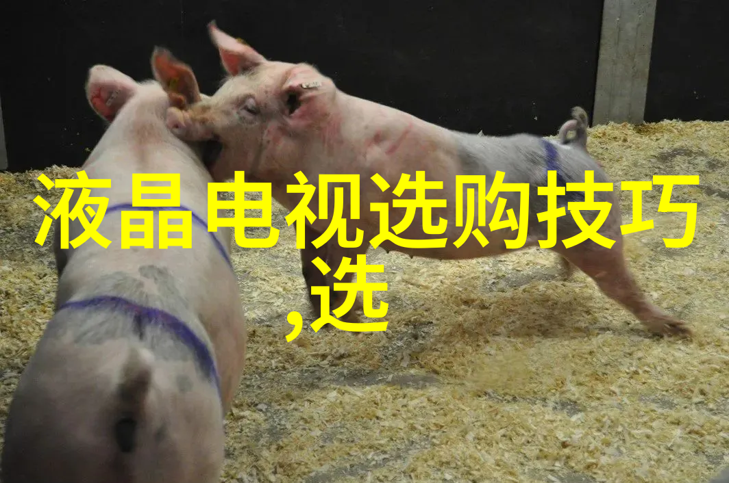 中国文化的最大特点中华文明的独特魅力