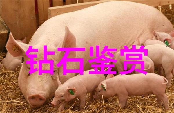 翡翠的克拉分级标准