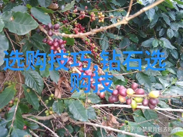 体育老师C了一整节课我是不是太疯了
