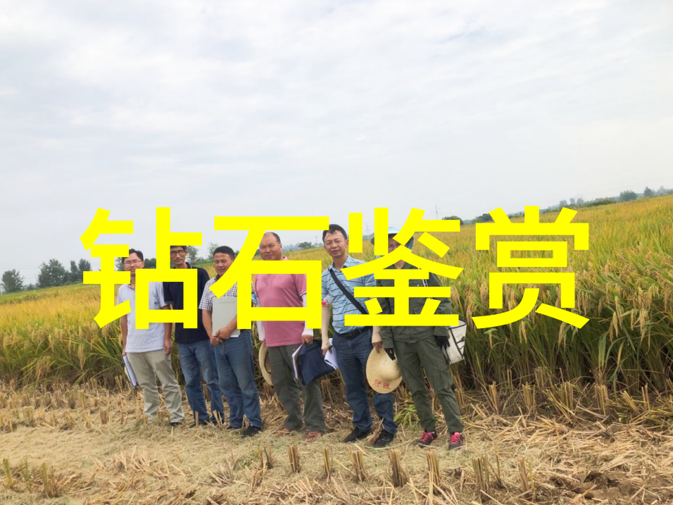 工艺文件的编写模板我来教你怎么做一个好点子的工艺文件