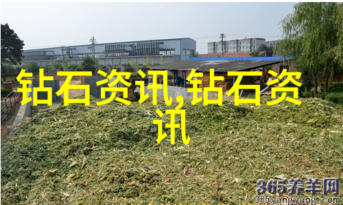 企业战略与管理实践