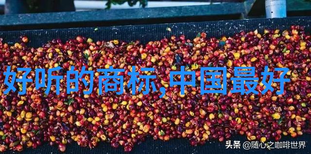 探秘珠宝界的巅峰之作十大珍贵珠宝展览