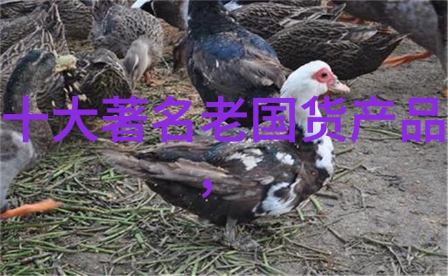 工商管理专业开启未来就业的无限可能