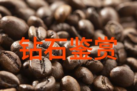 深度解析现代审计实践中的关键挑战与解决方案