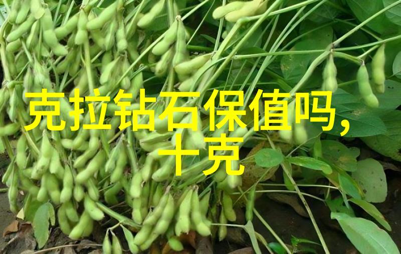 荒诞的人间追逐梦想的无尽旋转