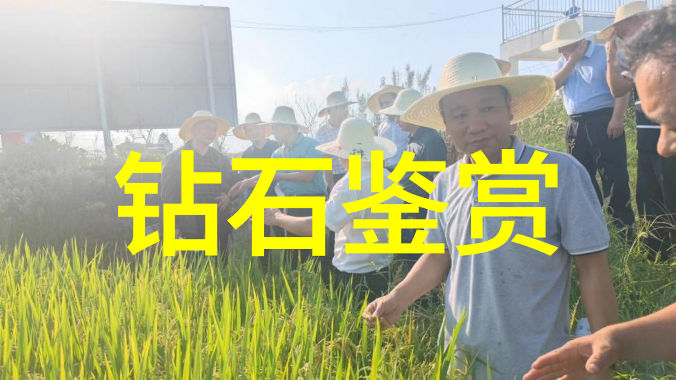 品鉴和鉴赏的区别咱们来一场味觉大探险