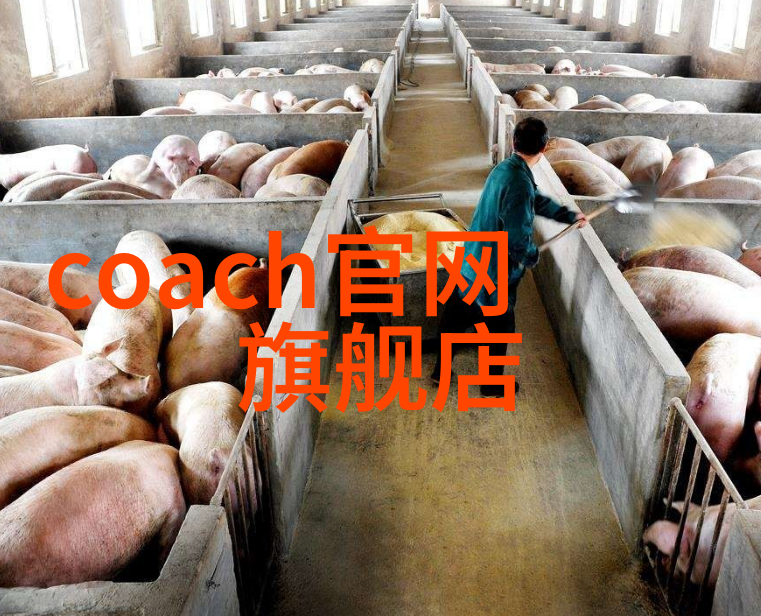 中国十大排行榜红星璀璨的国民之光
