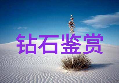 智慧之笔创意的无限飞翔