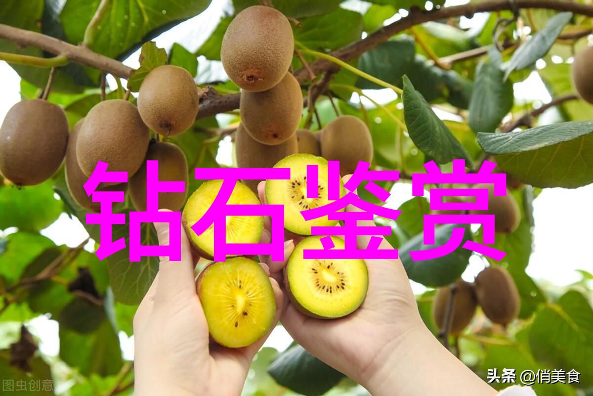 生产工艺流程图及工艺说明-精细化工生产线的完善设计与实施