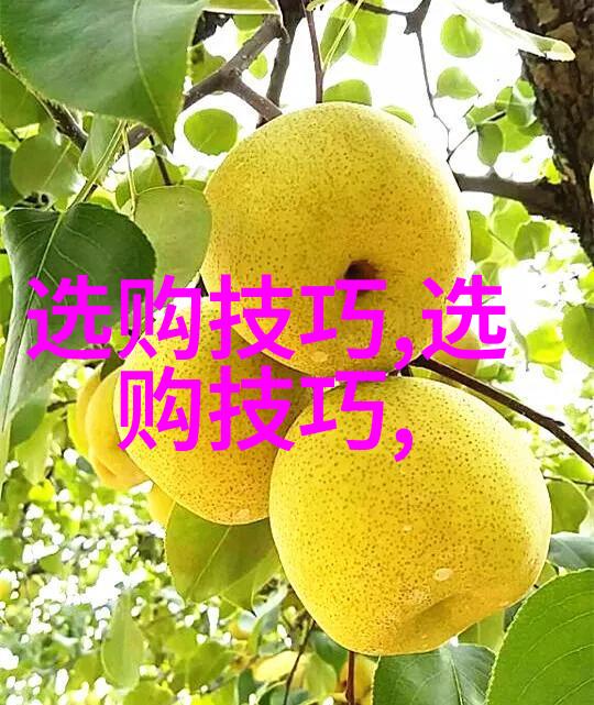 精密工艺数控报价系统的艺术与科技