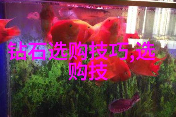 宝石世界-探秘冷门宝石品种不凡之光的奇迹