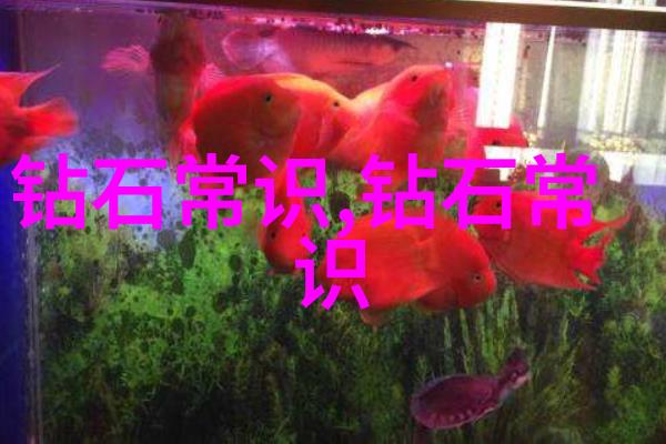 学科分类体系构建知识架构的关键