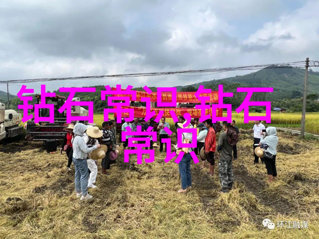 精卫填海的传说古代民间故事中的英雄主义与自然对抗