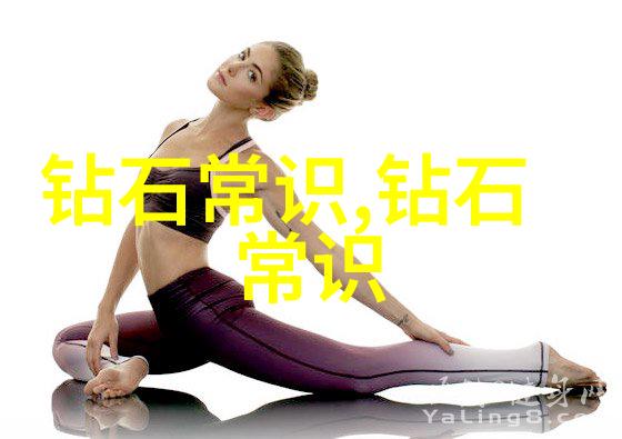 数据海洋智能探索者