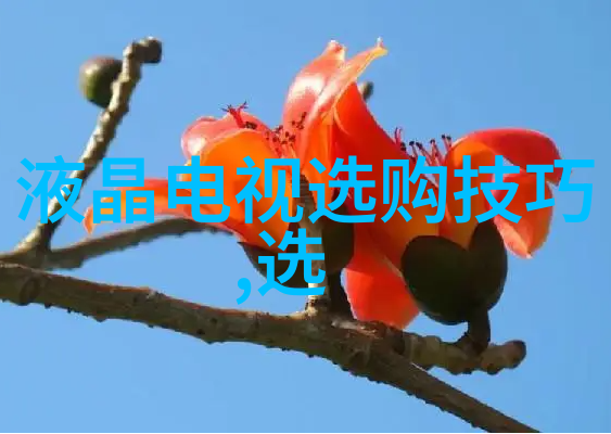 中国民间工艺品简史从古至今的艺术传承
