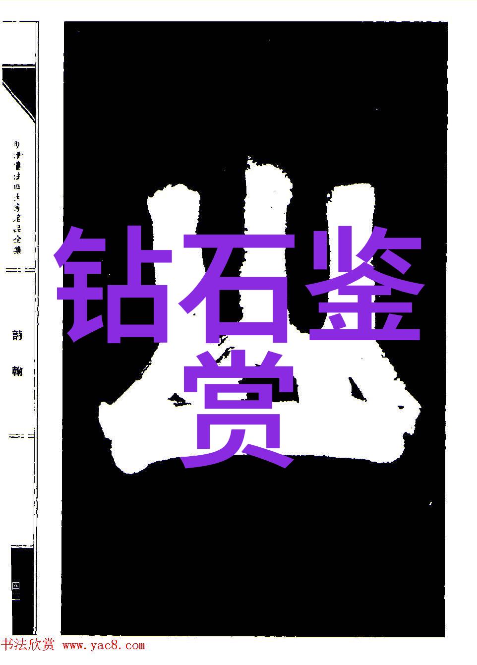 宠物美容师花式梳理与爱心呵护的艺术之旅