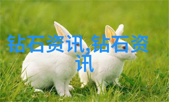 珠宝大集合揭秘那些让你爱不释手的闪耀小精灵