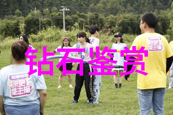 宠物美容师-从毛茸茸到光彩夺目宠物美容师的艺术奇迹