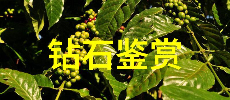 如何辨别一件古董鼎与其所配的珠宝是否真实匹配