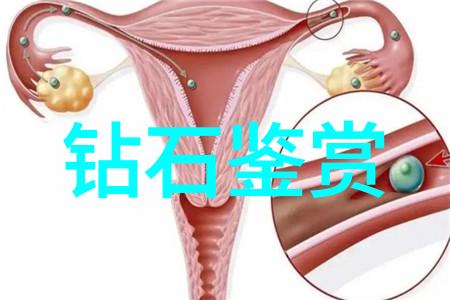 探索中华文明的深度中国文化的传承与创新