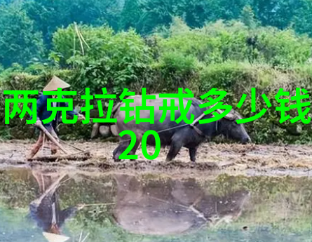 翡翠宝石的十大场口特征解析识别原石的艺术与科学