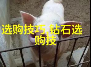 学科门类我是怎么从初中开始逐步了解的
