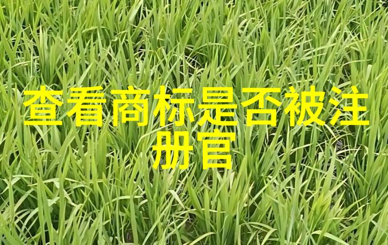 机械加工工艺知识剖析精密磨床的操作技巧
