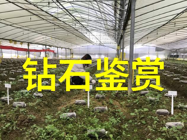 泪点闪烁姬小满张嘴流泪的高清瞬间