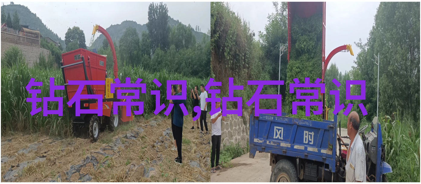 翡翠文化探究传统与现代的对话