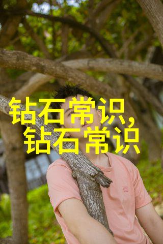 工艺大探险从土豆到智能手机的奇幻旅程