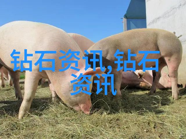 手工艺品种类陶瓷木雕织品珠宝首饰金属工艺