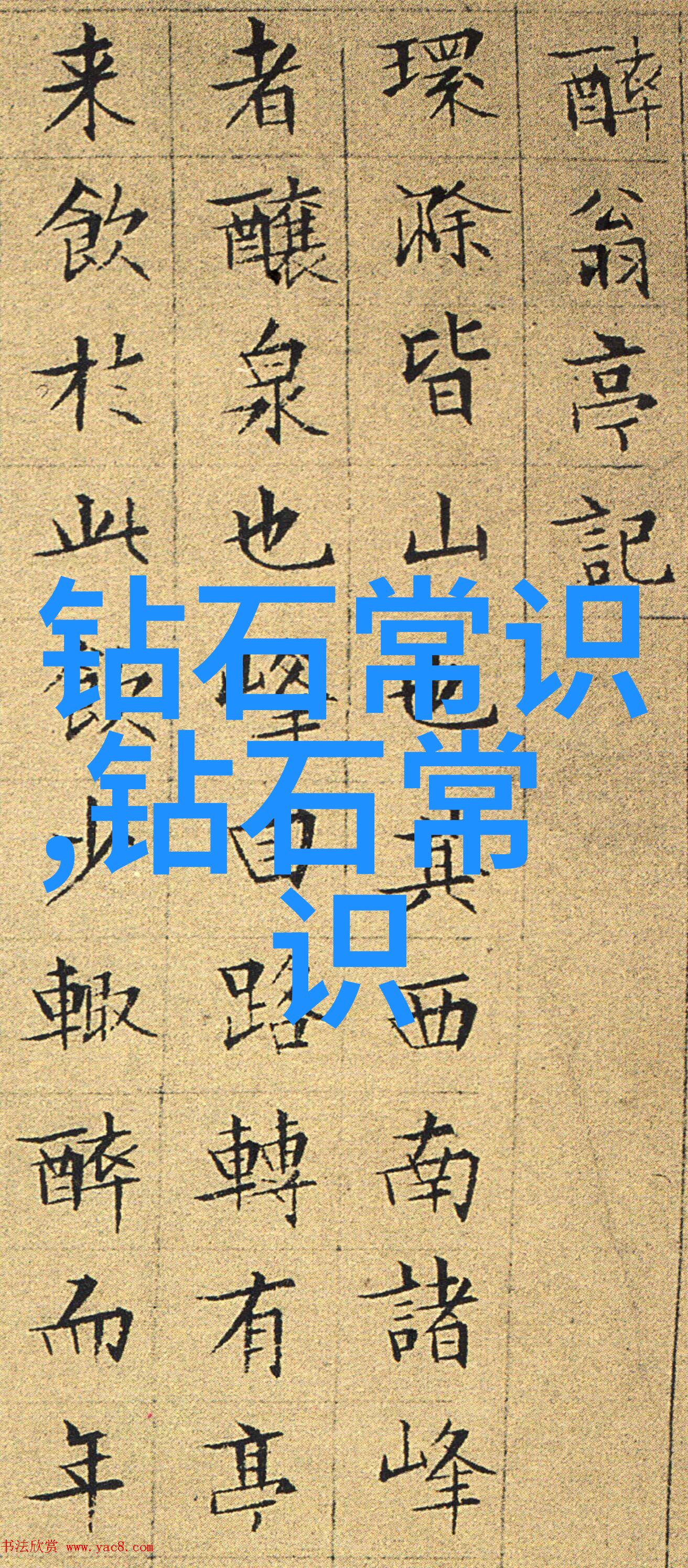 步步惊心丽-穿越时空的美丽探索步步惊心中的丽人魅力