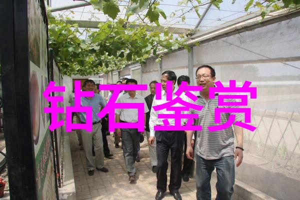 室内装潢设计中如何处理空间布局