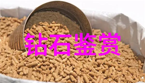 探险-赴野踏上未知大地的征程