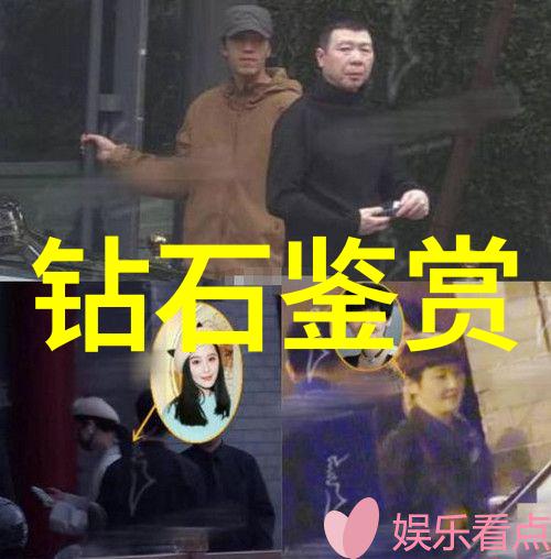 专业人士是如何通过技术分析来预测宝石市场价格变化的