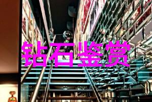 导演-镜头之手揭秘电影世界的艺术家