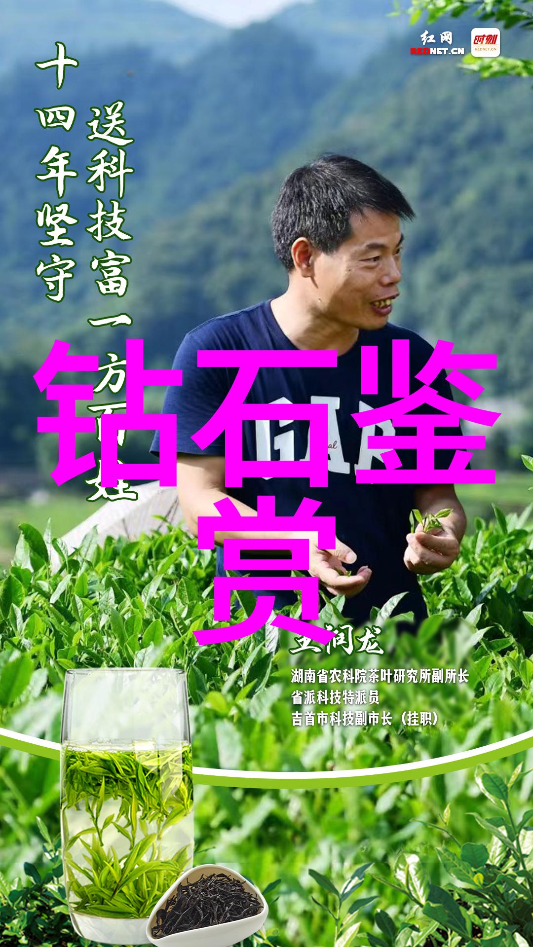 梦回青春李明的故事