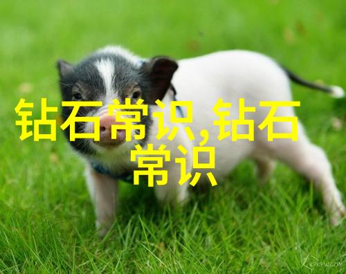青春嘻哈18岁女rapper的速风革命