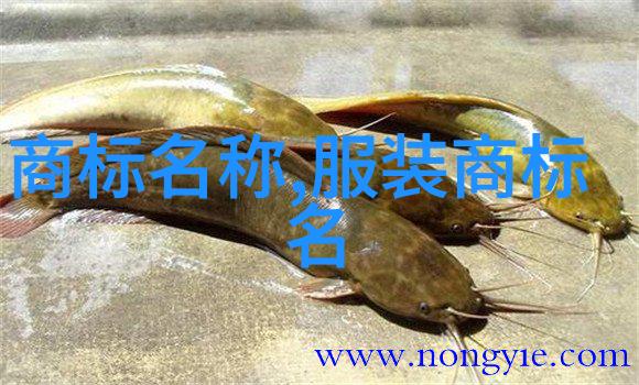 宝石项链的历史有多悠久