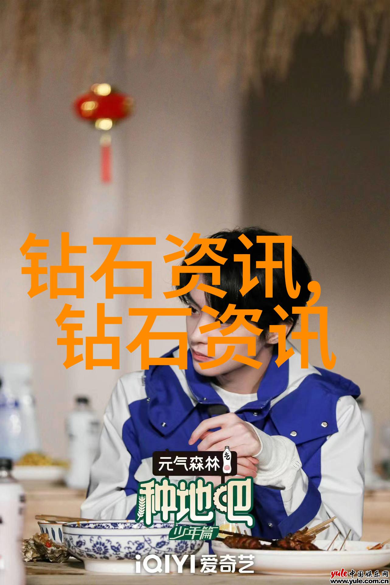 中国传统文化心得感悟我眼中的中华情怀从龙马精神到和谐社会