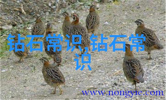 工艺路线设计的关键步骤与最佳实践