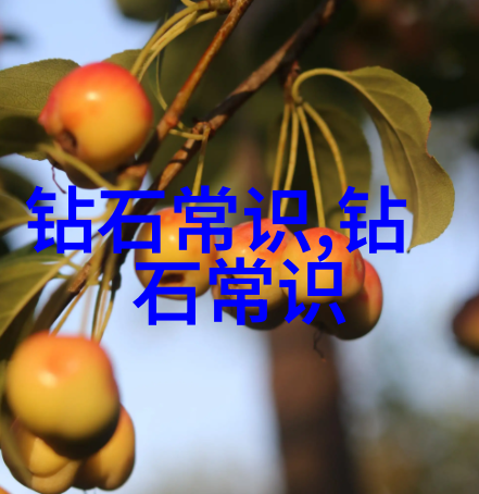 缅甸翡翠鉴定方法揭秘老手的秘诀你也能掌握