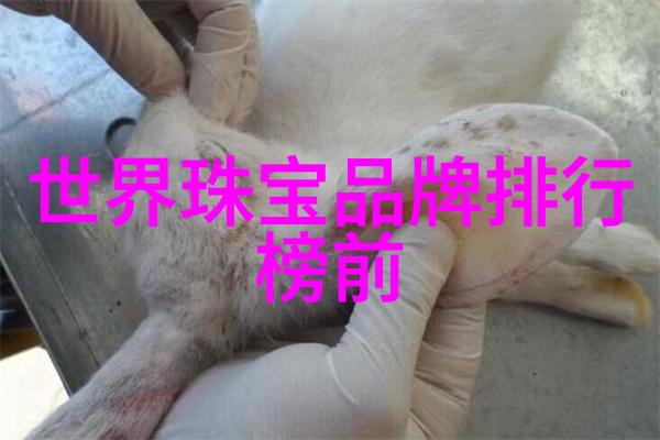 探索我眼中的世界十大钻石每一颗都是精彩的见证