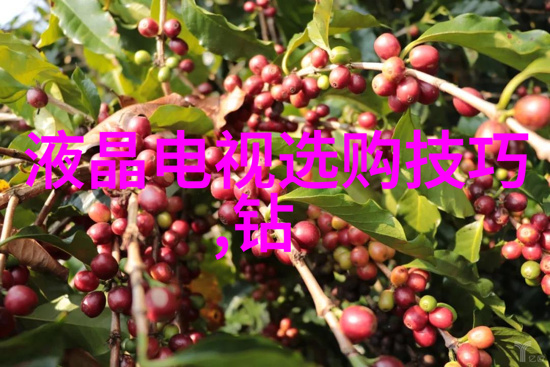 在璀璨的梦想光芒中爱情如钻石般坚不可摧周生生的心灵之旅以世界排名第一的钻石为伴侣绘制出一幅无与伦比的