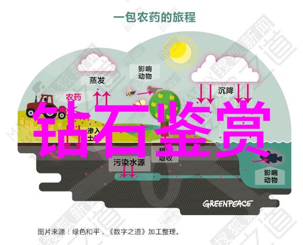 探究中西饮食文化差异一场味觉与理念的对话