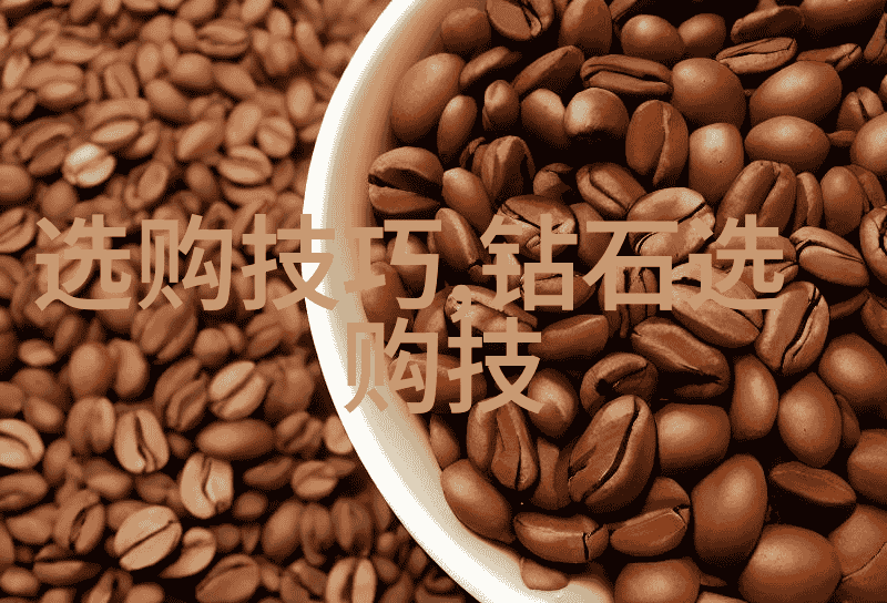 V娘的故事我的虚拟宠儿