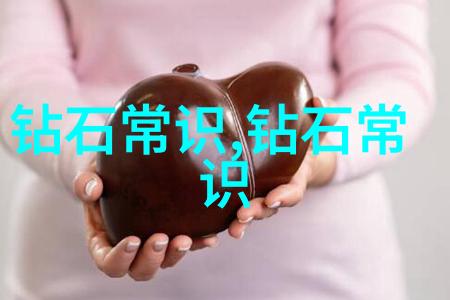 审计学专业研究从传统到现代化的演进与挑战
