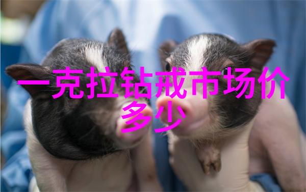 穿上历史的篇章世界十大项链的文化价值如何评价