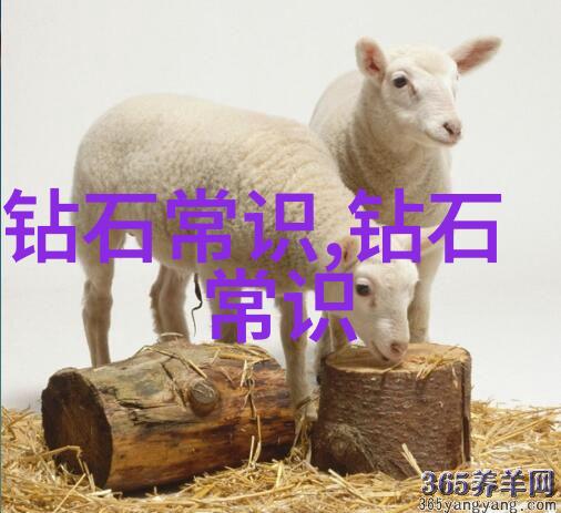 在风雨中小萝卜头得到了什么样的教训和启示呢